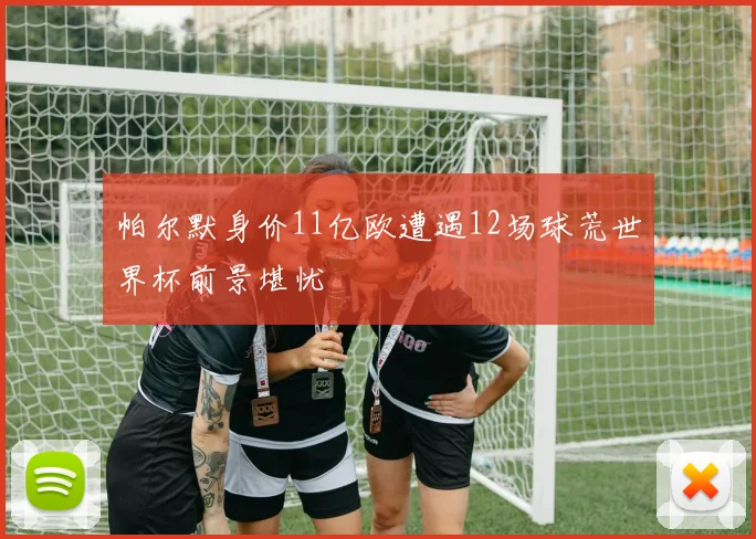 帕尔默身价11亿欧遭遇12场球荒世界杯前景堪忧