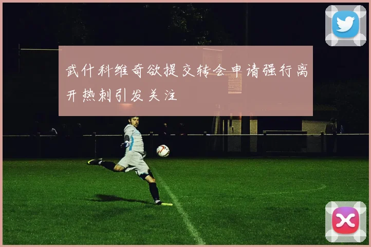 武什科维奇欲提交转会申请强行离开热刺引发关注