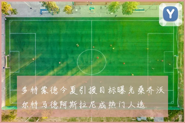 多特蒙德今夏引援目标曝光桑乔沃尔特马德阿斯拉尼成热门人选